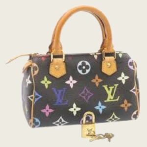 Multicolore Speedy Bag